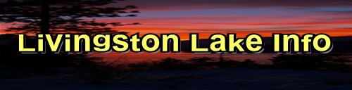 Livingston , Texas